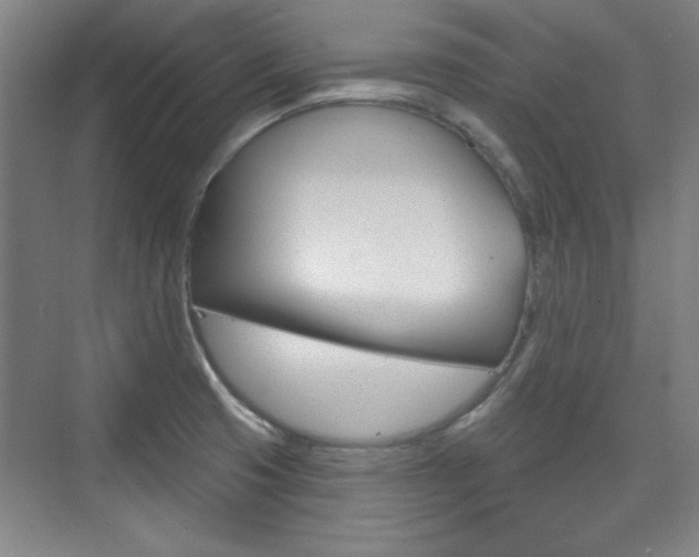 X0000076221425200609280910