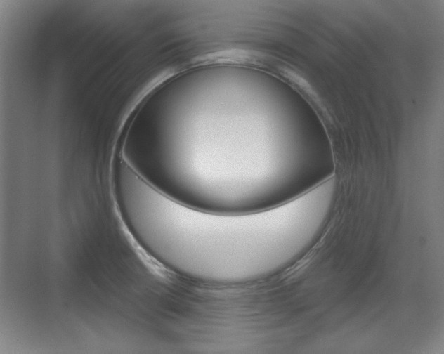 X0000076221426200609280910