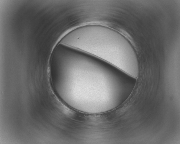 X0000076221428200609280910