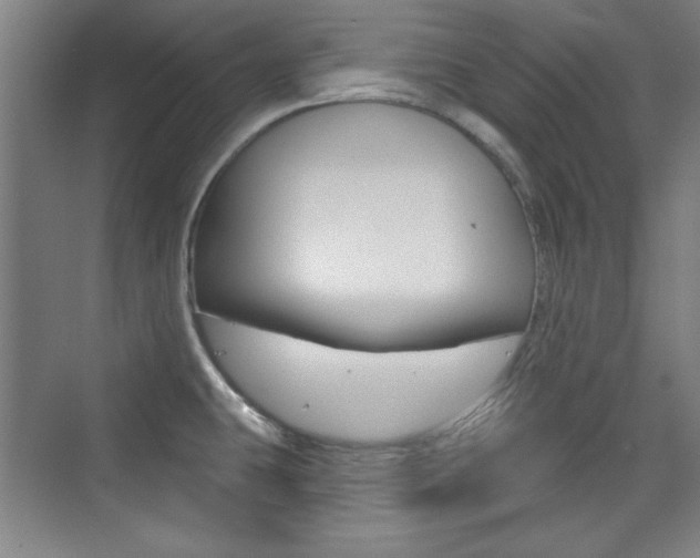 X0000076221431200609280910