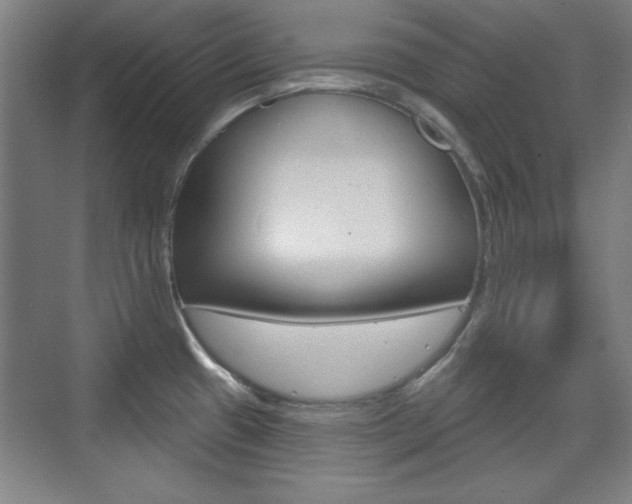 X0000076221433200609280910