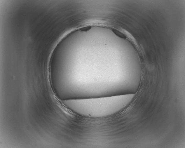 X0000076221435200609280910
