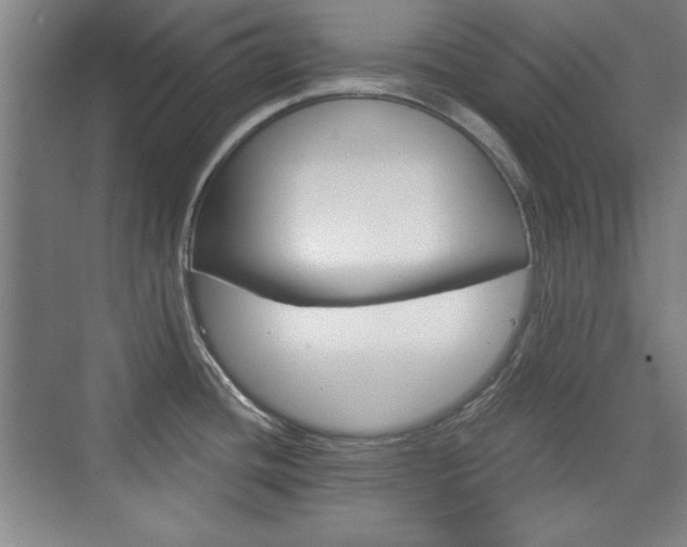 X0000076221436200609280910