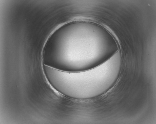 X0000076221437200609280910