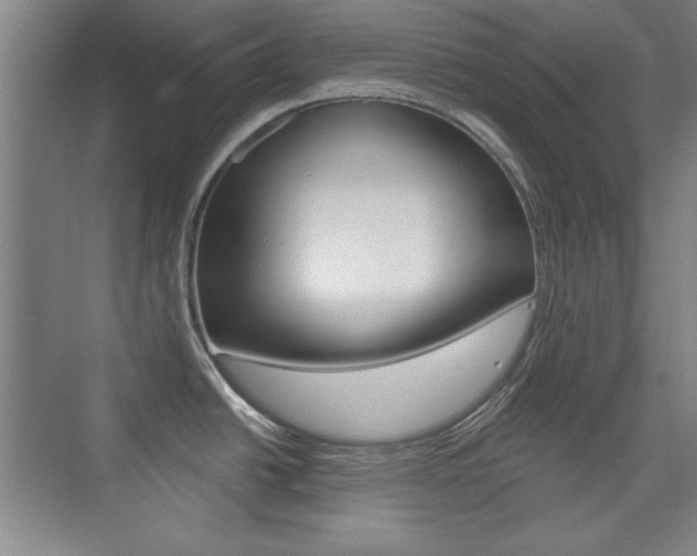 X0000076221438200609280910