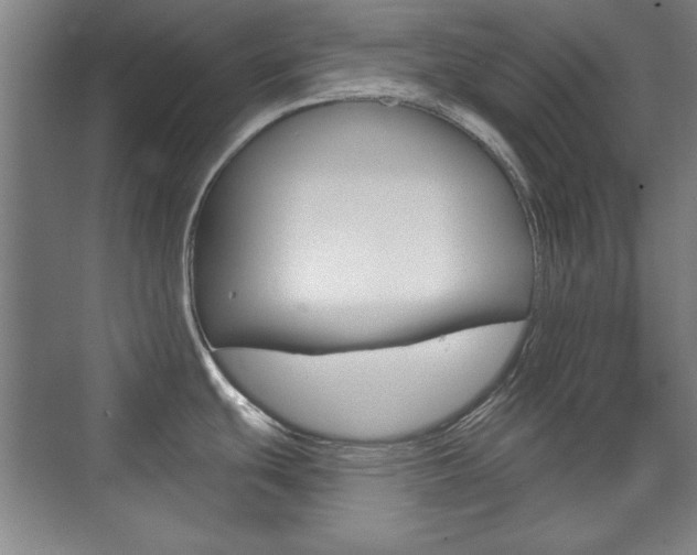 X0000076221439200609280910