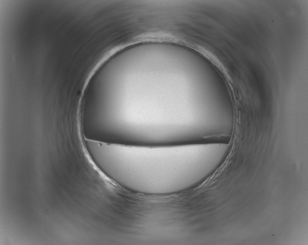 X0000076221440200609280910