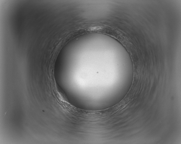 X0000076221441200609280909