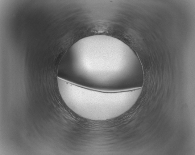 X0000076221442200609280909