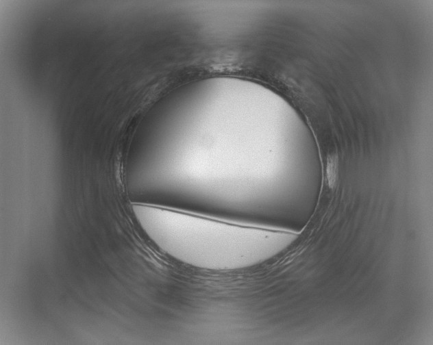 X0000076221444200609280909