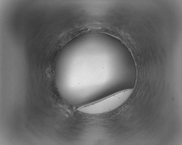 X0000076221445200609280909