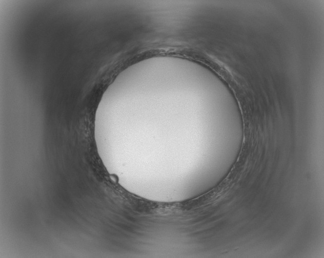 X0000076221447200609280909