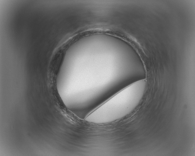 X0000076221448200609280909