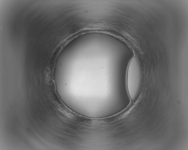 X0000076221449200609280909