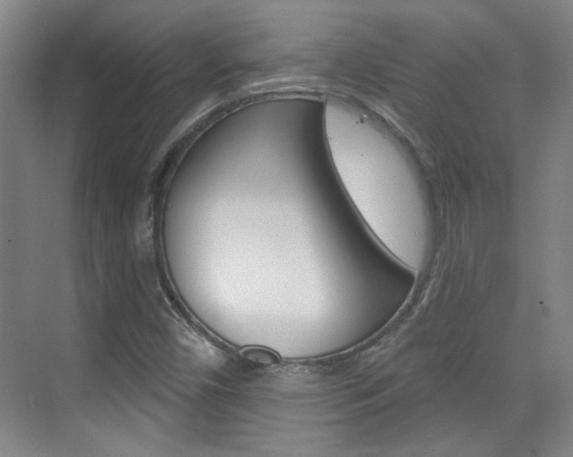 X0000076221450200609280909