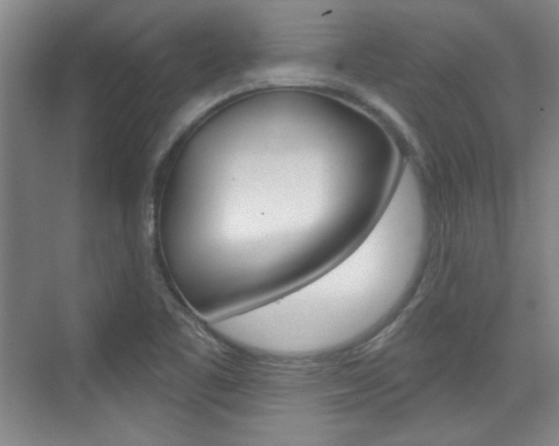 X0000076221461200609280909