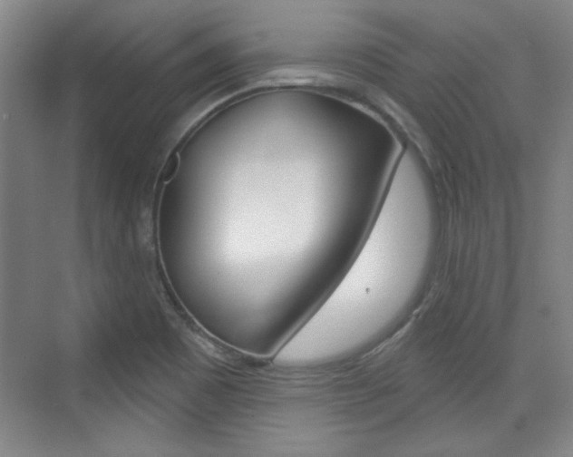 X0000076221465200609280909