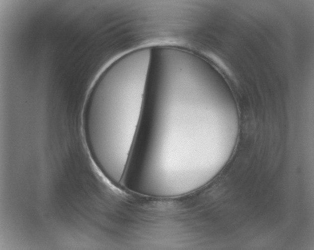 X0000076221468200609280909