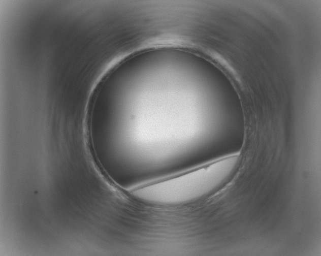 X0000076221469200609280909