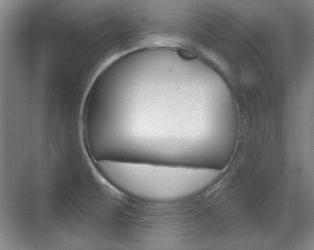 X0000076221471200609280909