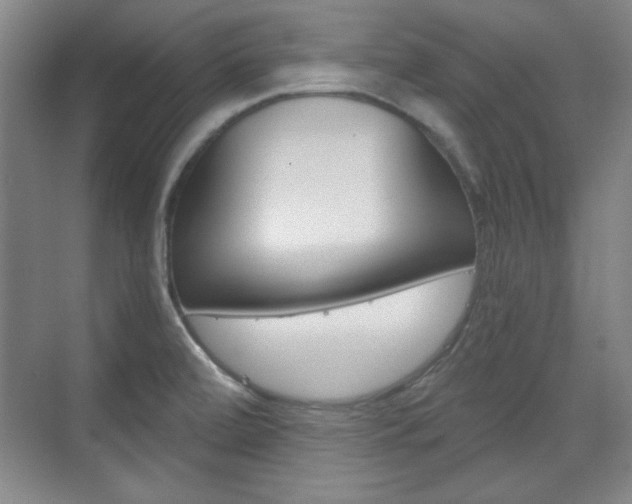 X0000076221472200609280909
