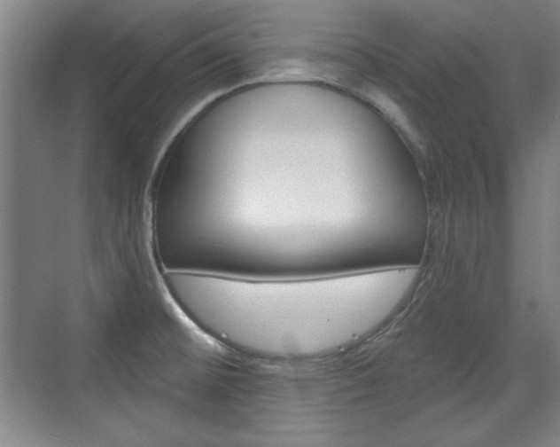 X0000076221476200609280909