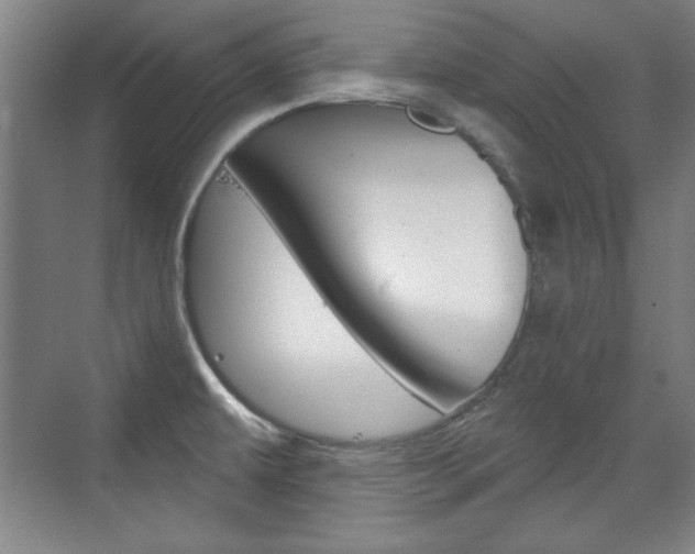 X0000076221479200609280909