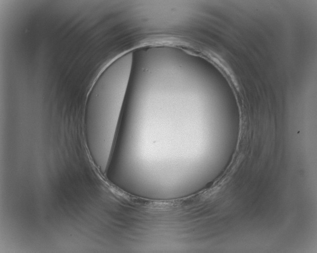 X0000076221481200609280909
