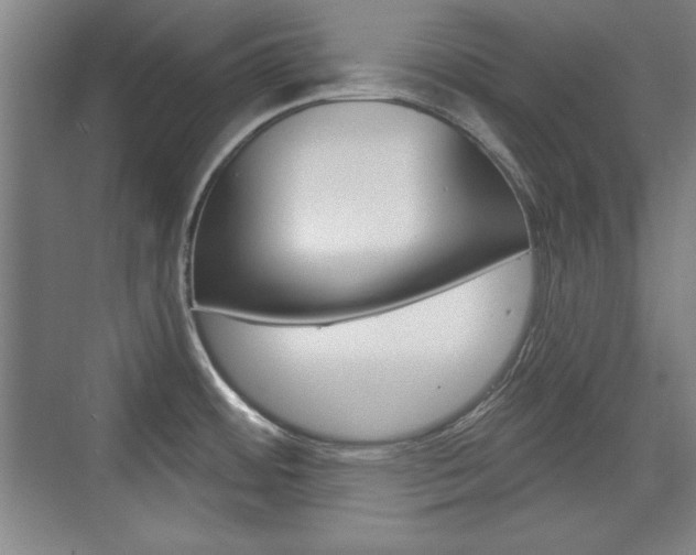 X0000076221484200609280908