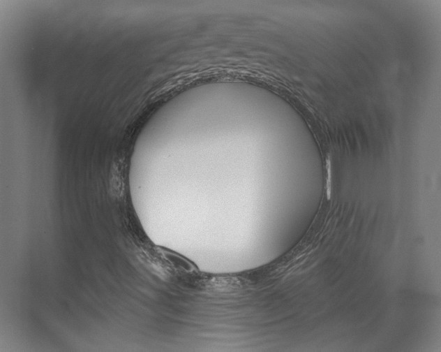 X0000076221491200609280908