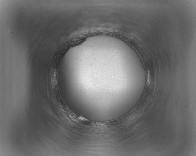 X0000076221492200609280908