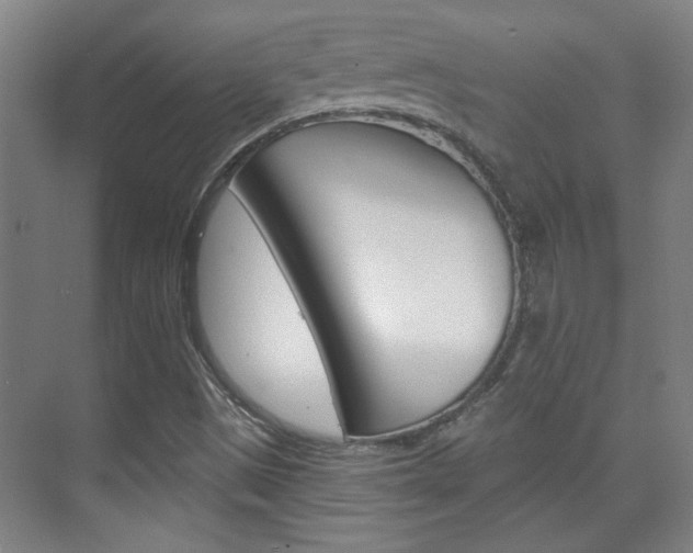 X0000076221497200609280908