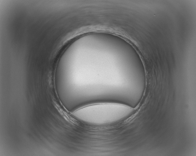 X0000076221499200609280908