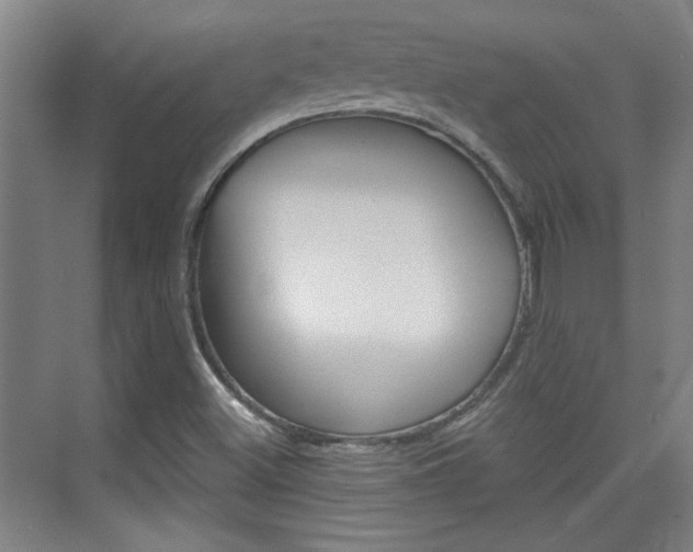 X0000076221500200609280908