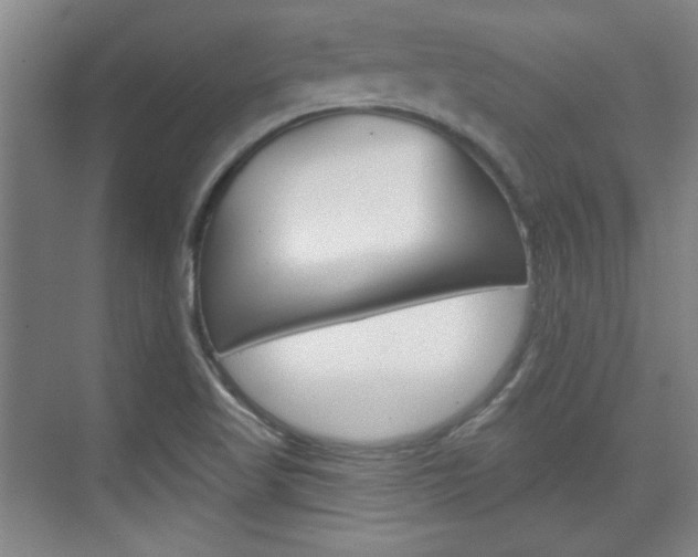 X0000076221509200609280908