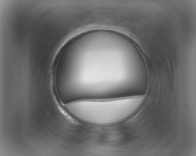X0000076221511200609280908