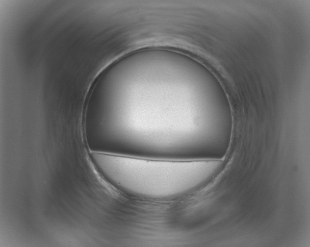 X0000076221513200609280908