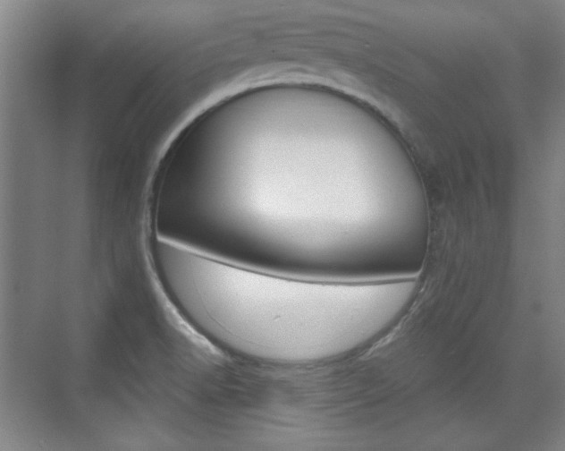 X0000076221518200609280908
