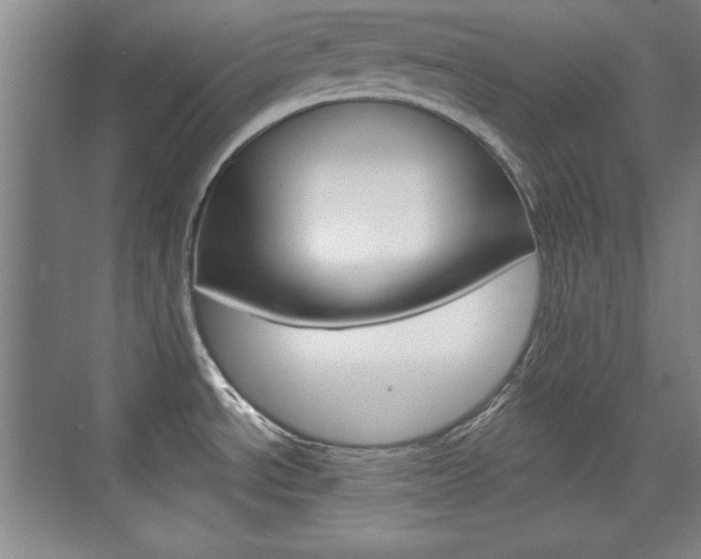 X0000076221534200609280908