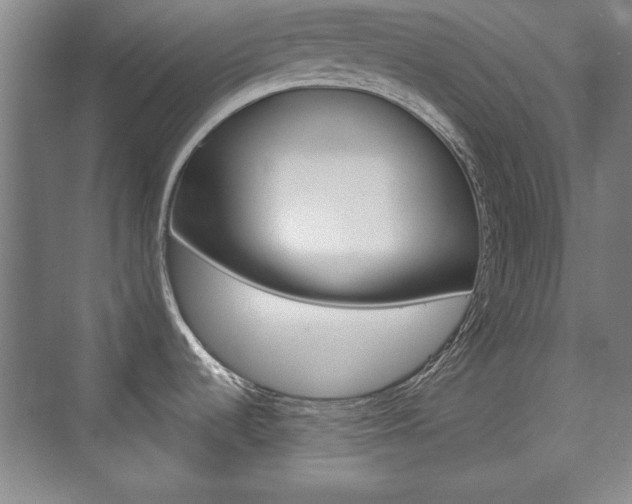 X0000076221536200609280908