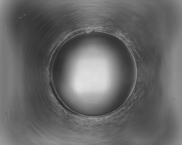 X0000076220002200609281124
