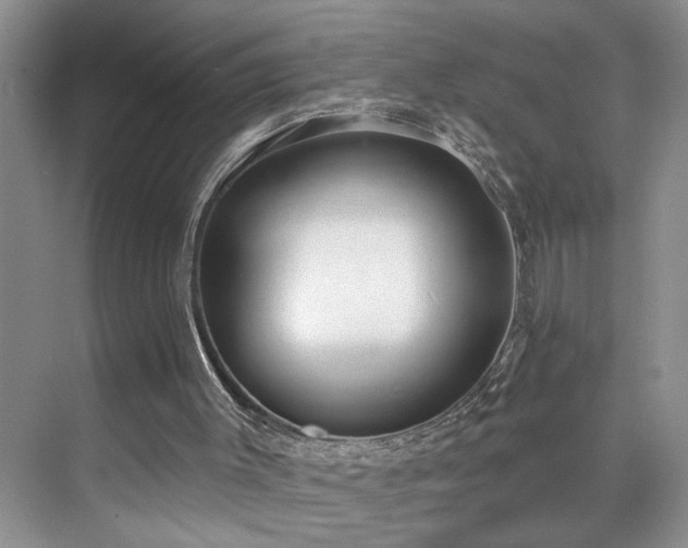 X0000076220003200609281124