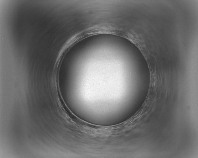 X0000076220004200609281124