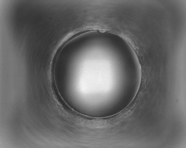 X0000076220008200609281124