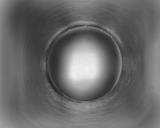 X0000076220015200609281124