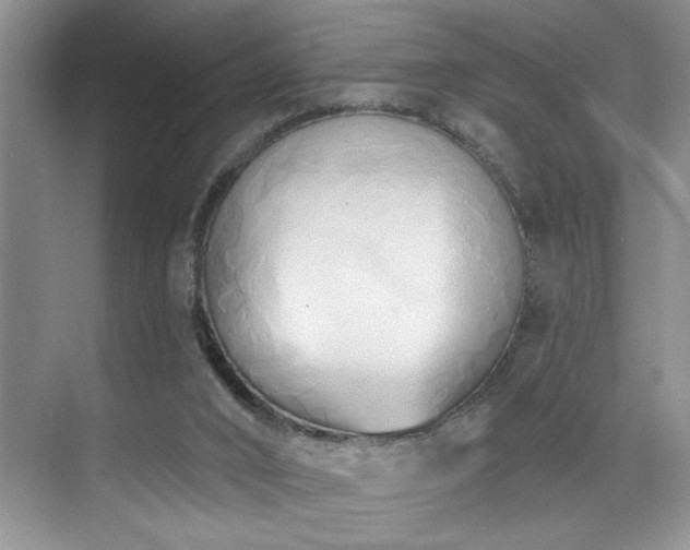 X0000076220016200609281124