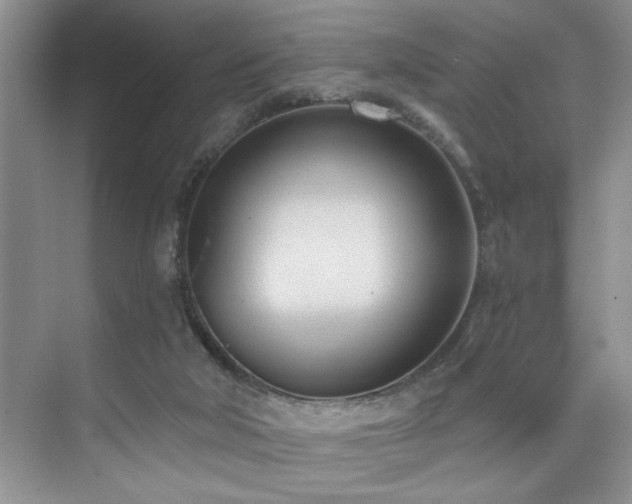X0000076220018200609281124