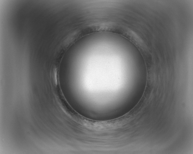 X0000076220022200609281124