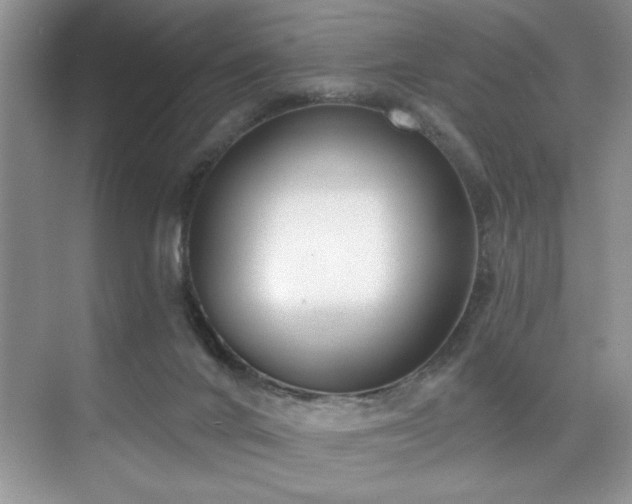 X0000076220024200609281124