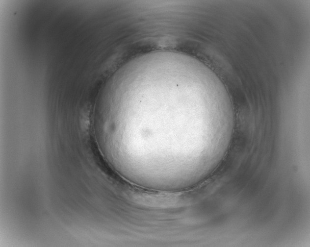 X0000076220032200609281124